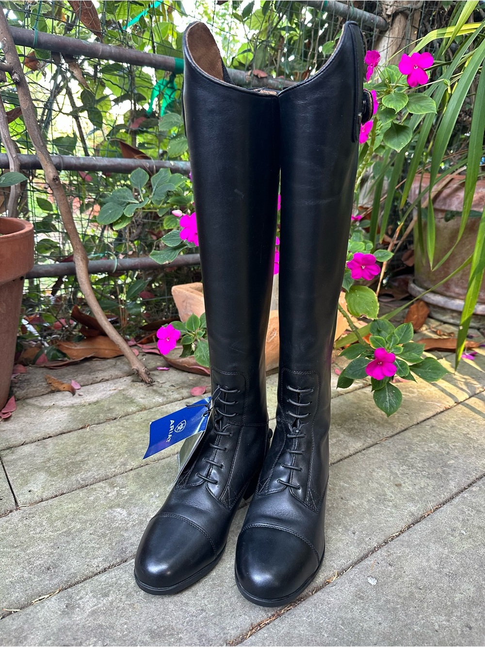 Ariat Ladies' Heritage Contour II Field Boots
Xslim Medium / 7 1/2